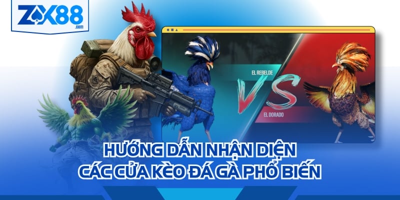 Hướng dẫn nhận diện các cửa kèo đá gà phổ biến