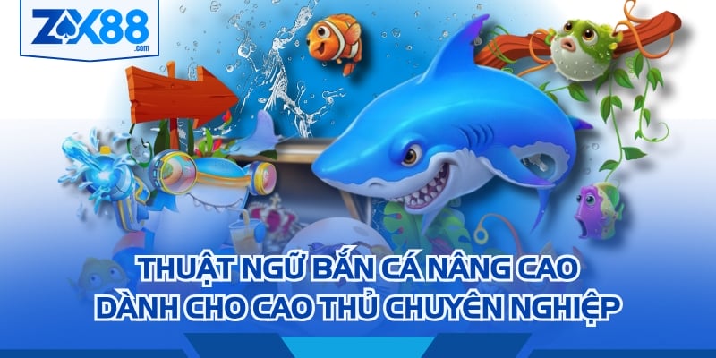 Thuật ngữ bắn cá nâng cao dành cho cao thủ chuyên nghiệp