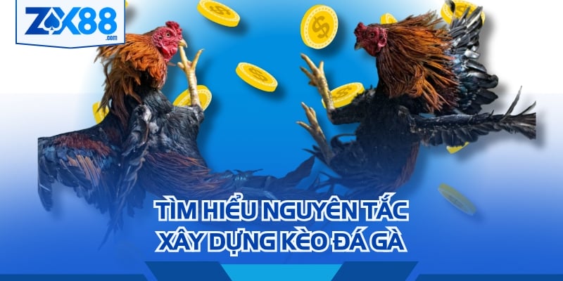 Tìm hiểu nguyên tắc xây dựng kèo đá gà